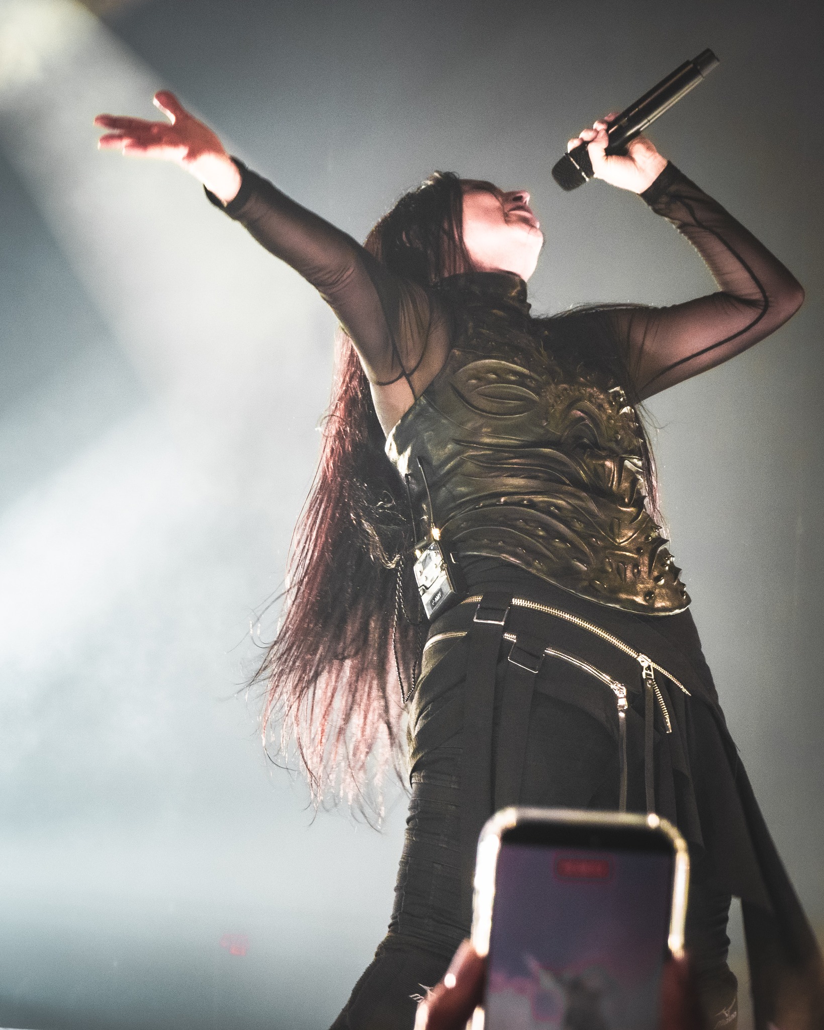 Amy Lee reaching outward at the microphone.