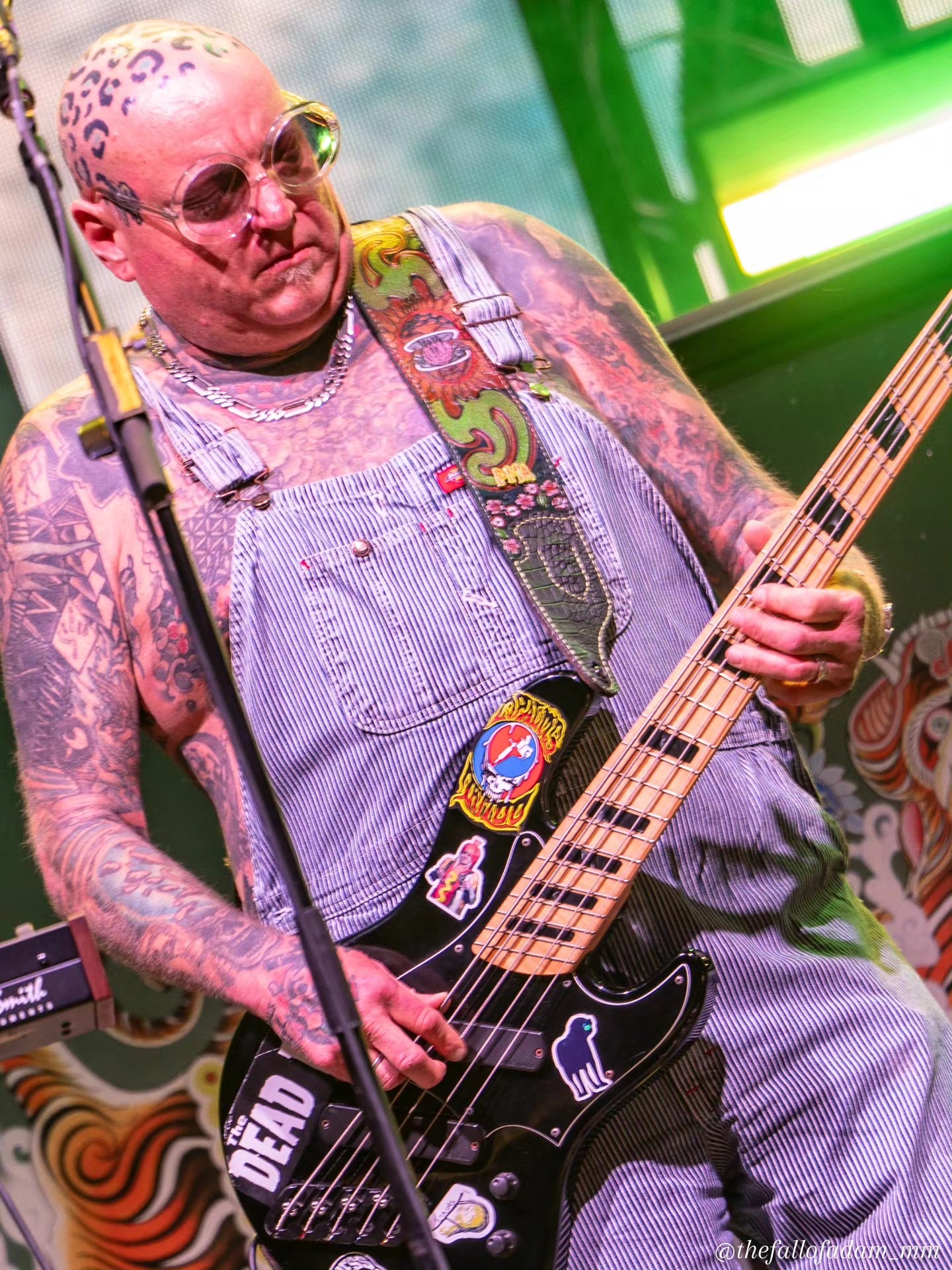 Sublime bassist performing under green light.