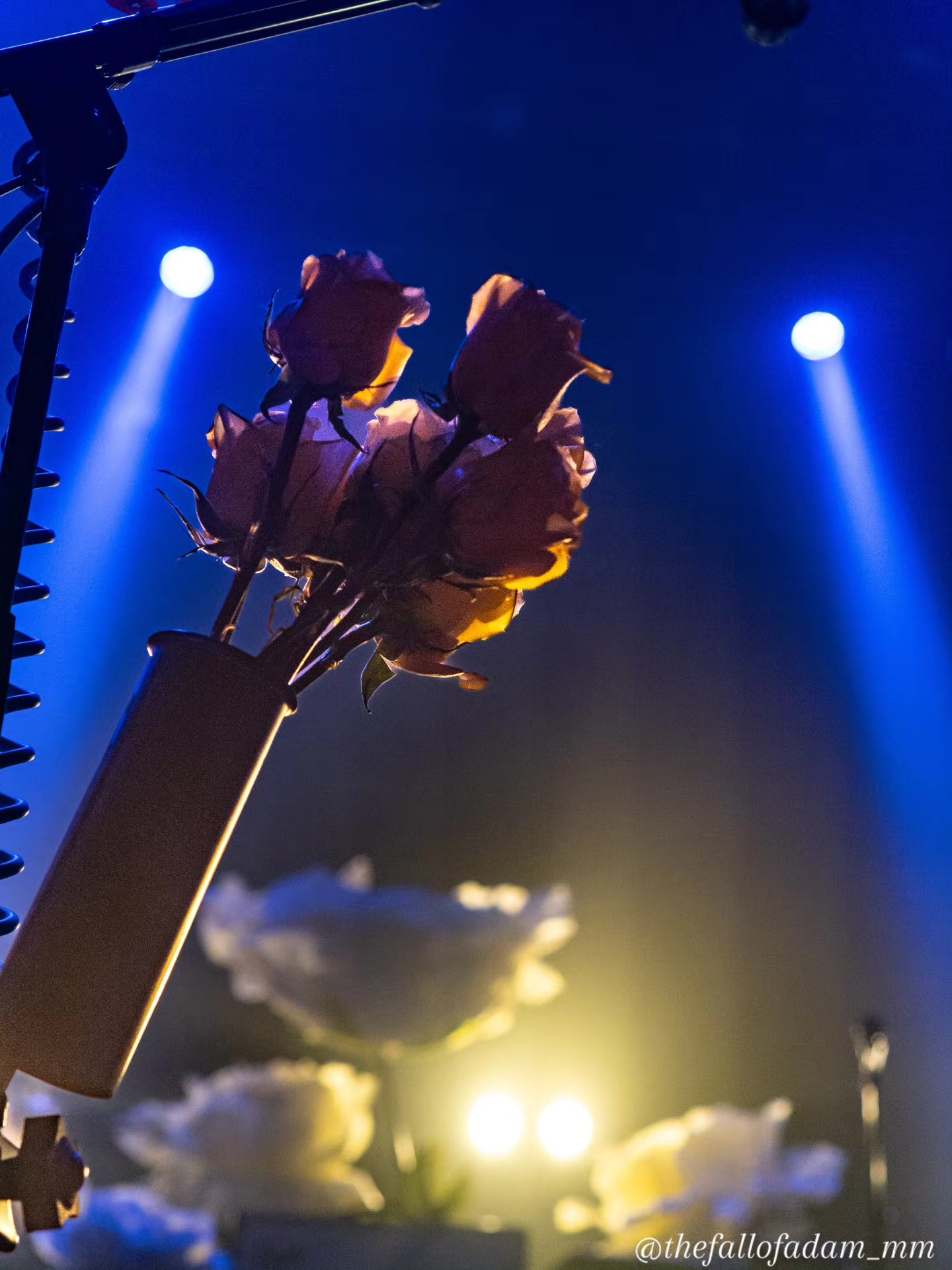 Flower-covered microphone stand silhouetted against blue stage lights.