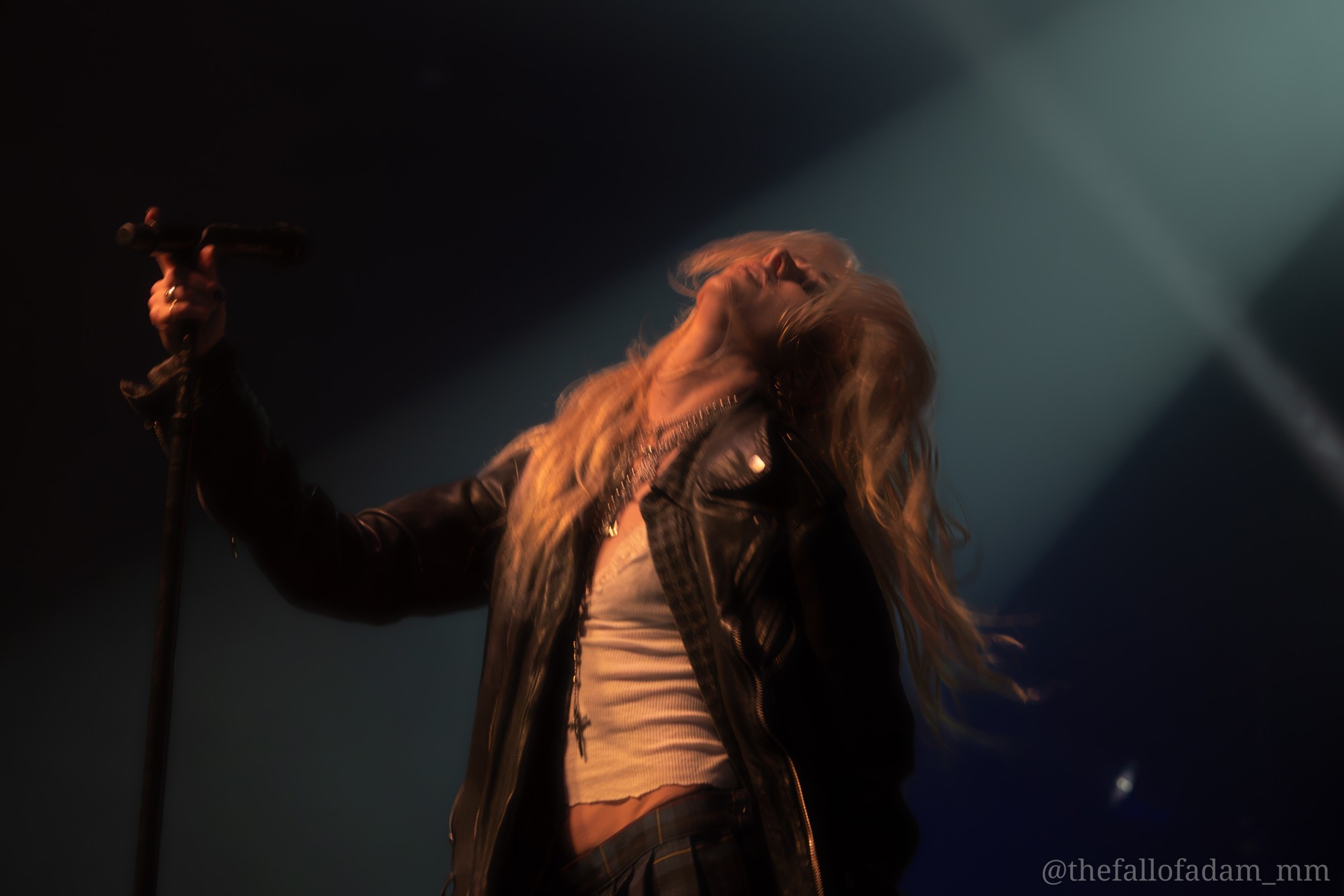 Taylor Momsen swinging her hair onstage.